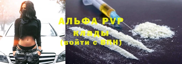 стаф Майский