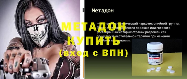 индика Арсеньев