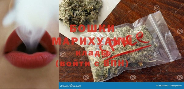 индика Арсеньев